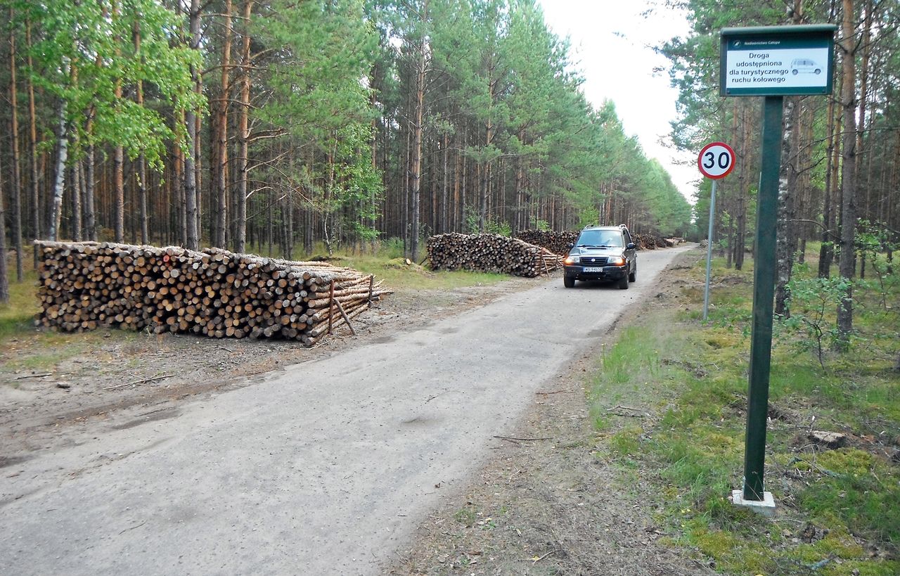 Drogi leśne są znakowane i tylko takimi można się poruszać. Jednak nie wszędzie spotkamy takie znaki. Lasy Państwowe przygotowują regulacje, które nie będą pozostawiały żadnych wątpliwości