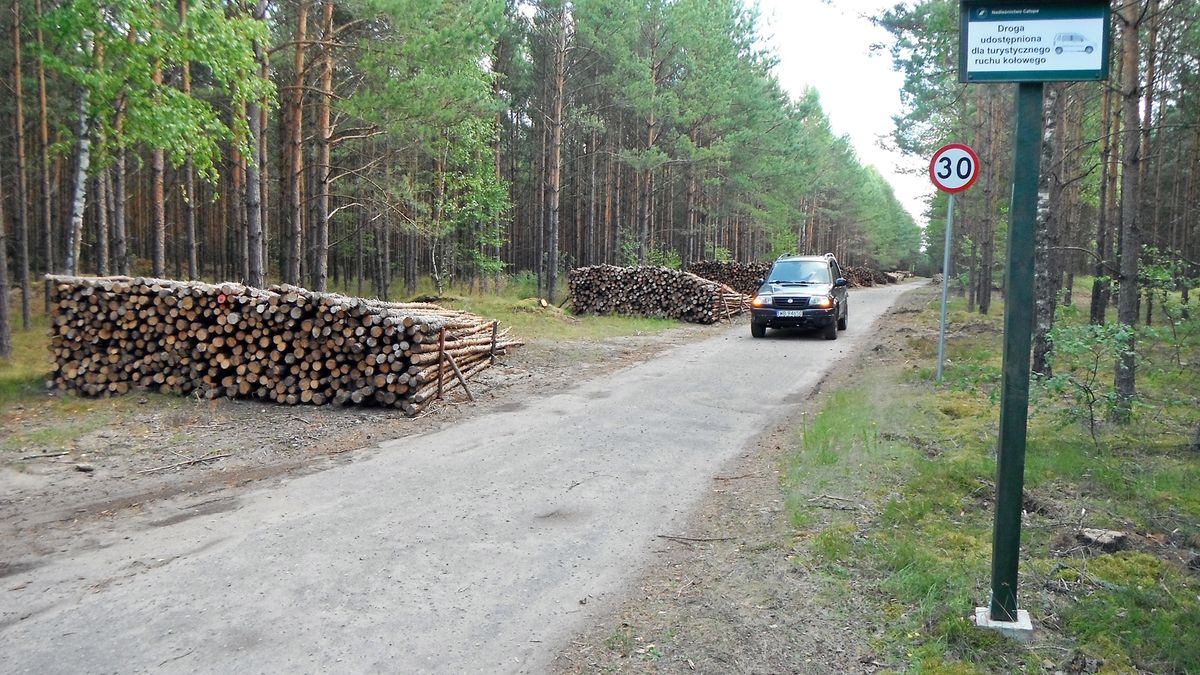 Drogi leśne są znakowane i tylko takimi można się poruszać. Jednak nie wszędzie spotkamy takie znaki. Lasy Państwowe przygotowują regulacje, które nie będą pozostawiały żadnych wątpliwości