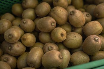 Codziennie jedli dwa kiwi. Jelita natychmiast odczuły różnicę