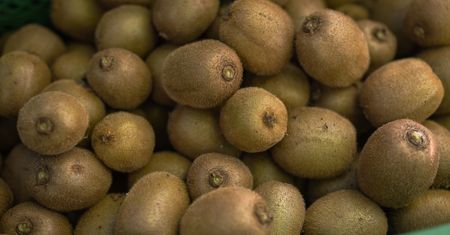 Codziennie jedli dwa kiwi. Jelita natychmiast odczuły różnicę