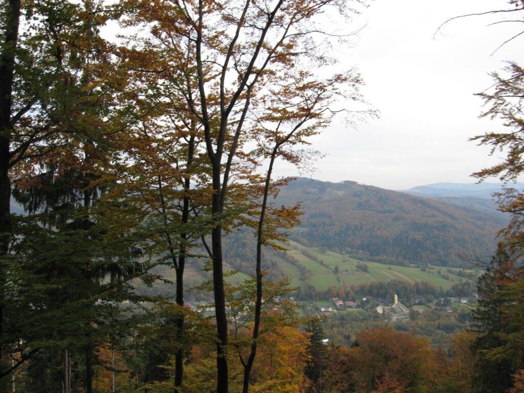 Obraz