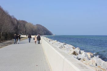 Gdynia: Mieszkańcy Oksywia walczą o swój las. "Ola, nie betonuj!"