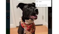 W Gmailu zdjęcia z wiadomości można zapisać od razu w Google Photos