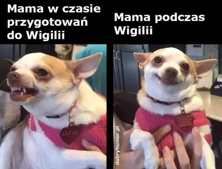 Memy Boże Narodzenie 