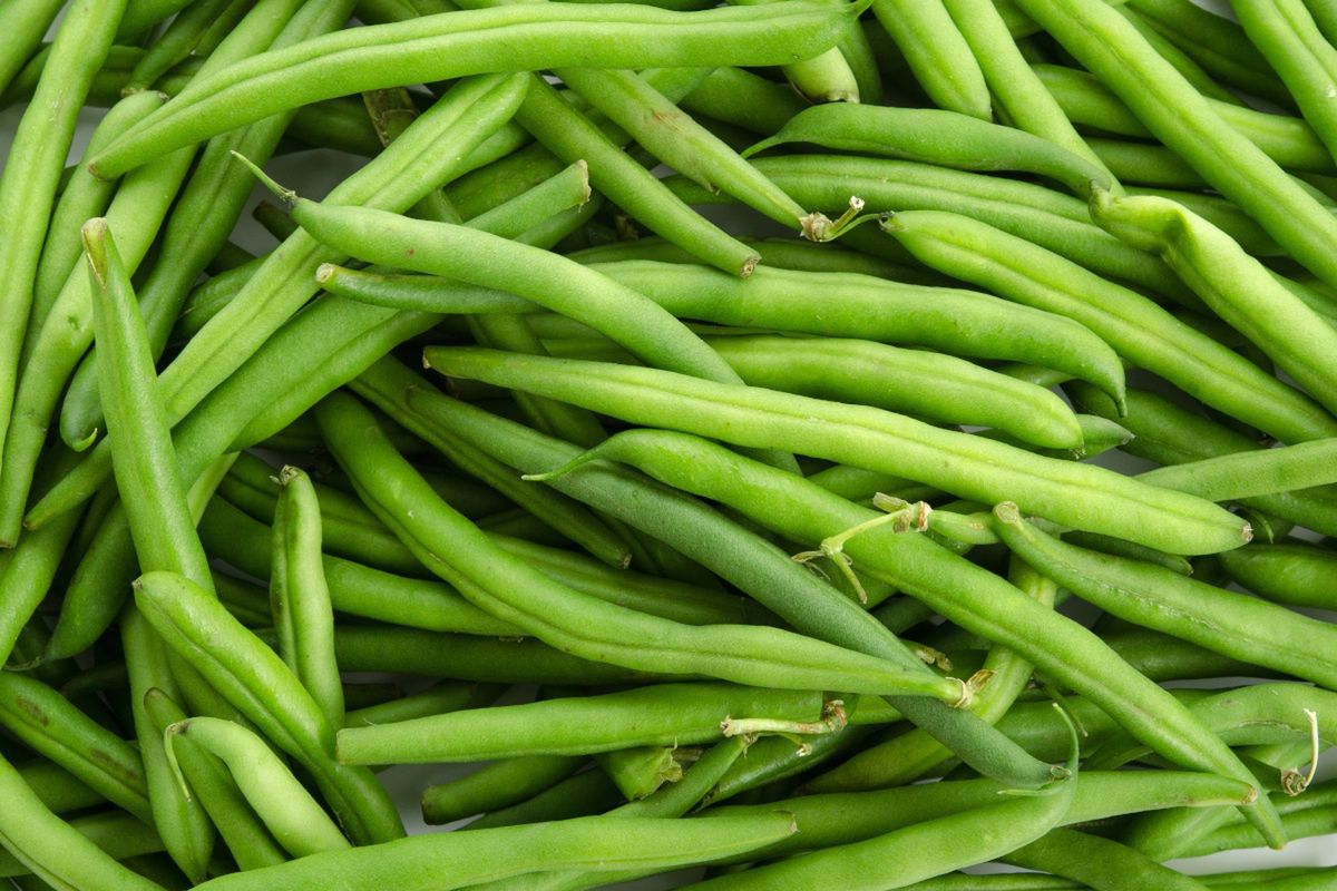 Najlepszy moment na wysiew fasolki szparagowej. Szybko będziesz mógł cieszyć się jej smakiem z własnej hodowli