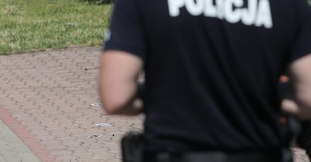 Napadają w Polsce coraz śmielej. Media o gruzińskich gangach
