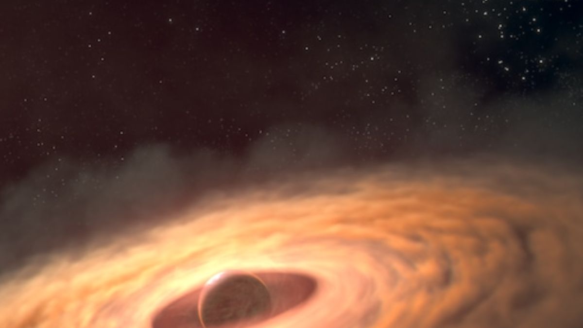 Artystyczna wizja dysku pyłowo-gazowego otaczającego Ct Cha B.