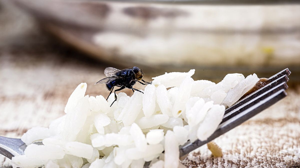 Weź z kuchennej szafki i wymieszaj. Muchy i komary będą uciekać 