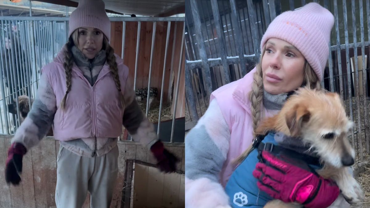 Doda w schronisku dla psów