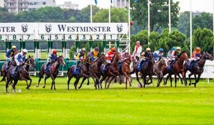 Warszawa. Wielka Warszawska. Święto na Służewcu