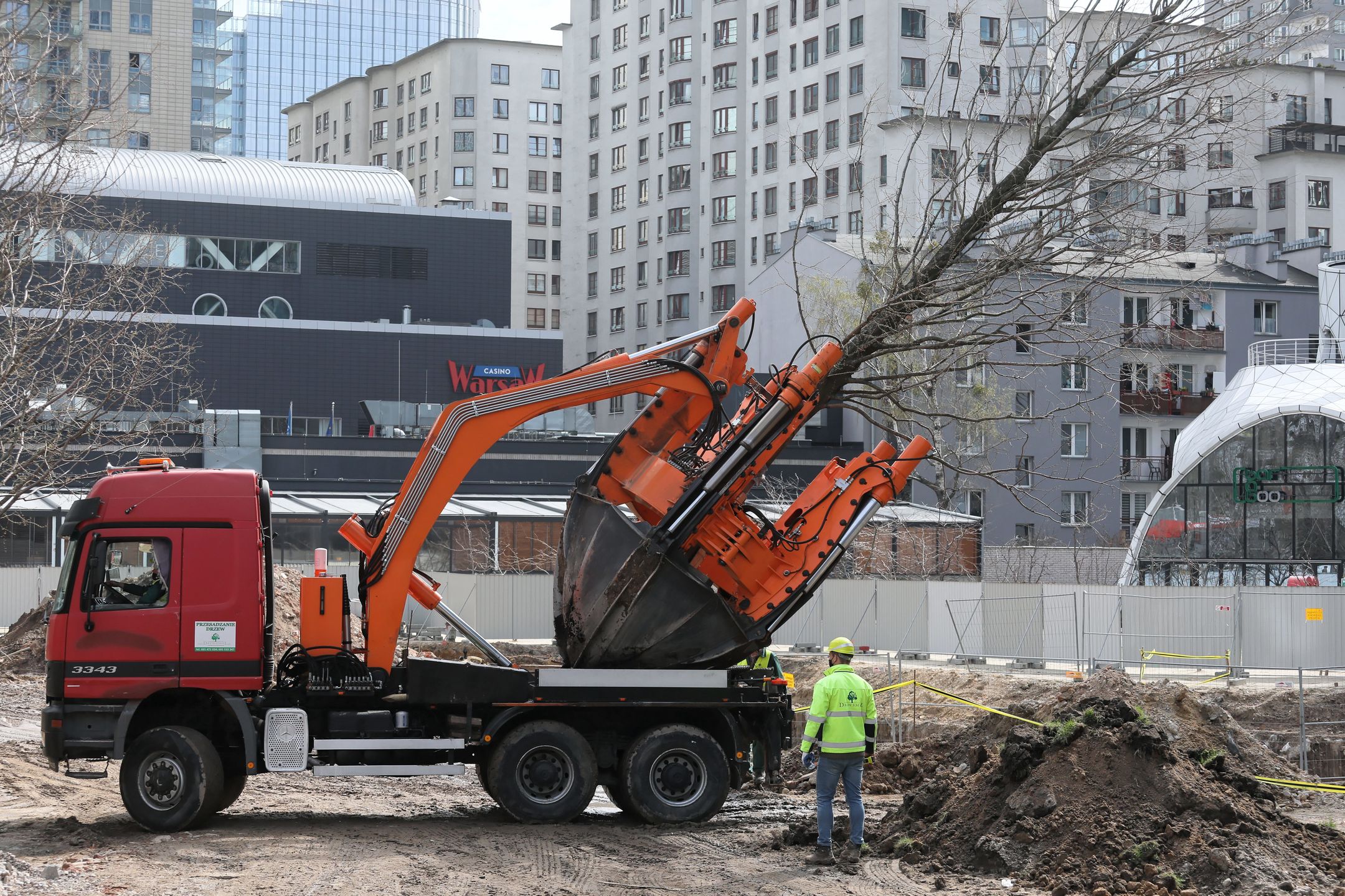 Warszawa. Olbrzymie drzewa jadą przez centrum. Akcja przesadzania metasekwoi