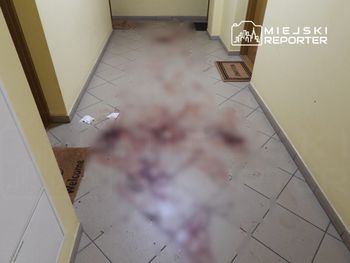 Warszawa: Usiłowanie zabójstwa na Białołęce. Jedna osoba ciężko ranna