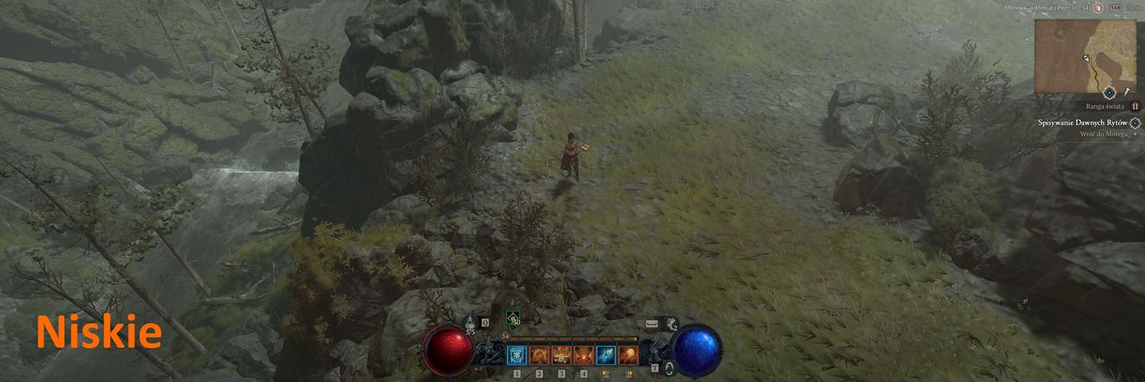 Diablo 4 - detale 2 niskie