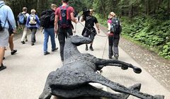 Fundacja Viva! ciągnęła na trasie do Morskiego Oka rzeźbę martwego konia