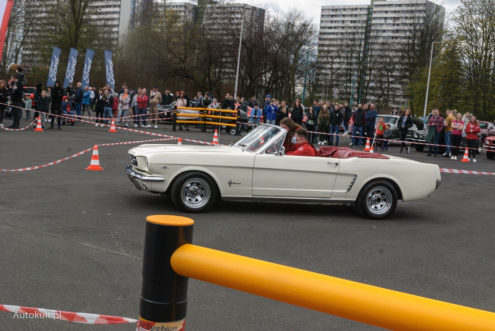 XV Ogólnopolski Zlot Mustangów