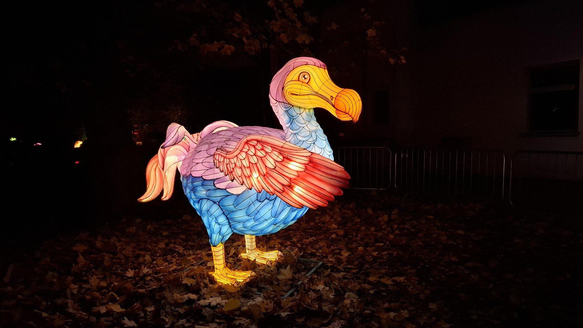 Garden of Lights Wrocław