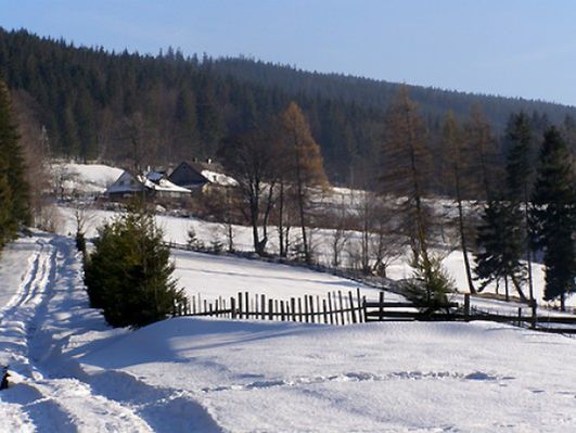 Obraz