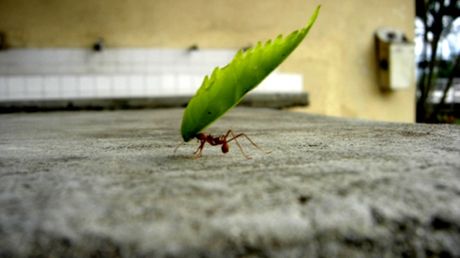 Próbujesz czy rezygnujesz? Czyli jak się rozwijać? 1