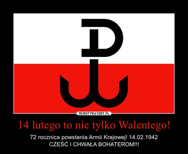 Patriotyzm w sieci – kolejna moda dla pozerów 4