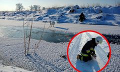 Warmińsko-mazurskie. Strażacy ratowali łabędzie na zamarzniętych zbiornikach