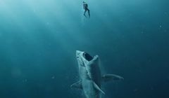 Film "The Meg" podbija kina. Megalodon włada światem