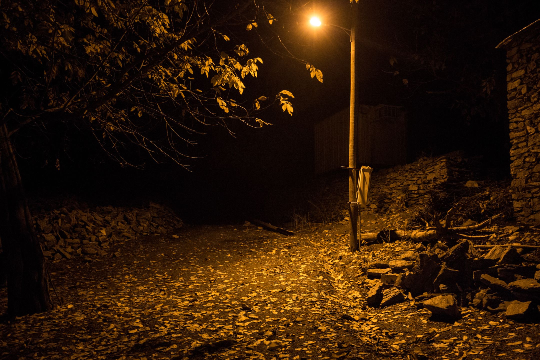 Najlepsze zdjęcia uczestników Joop Swart Masterclass - warsztatów fundacji World Press Photo 6