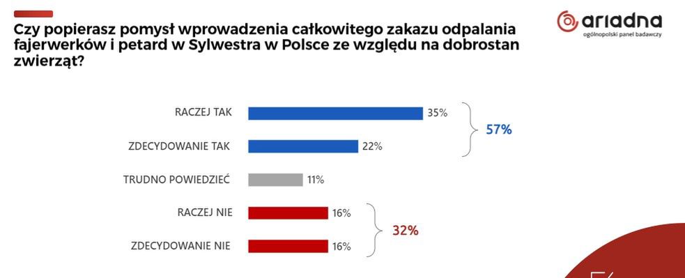 To Polacy sądzą o zakazie odpalania petard w sylwestra