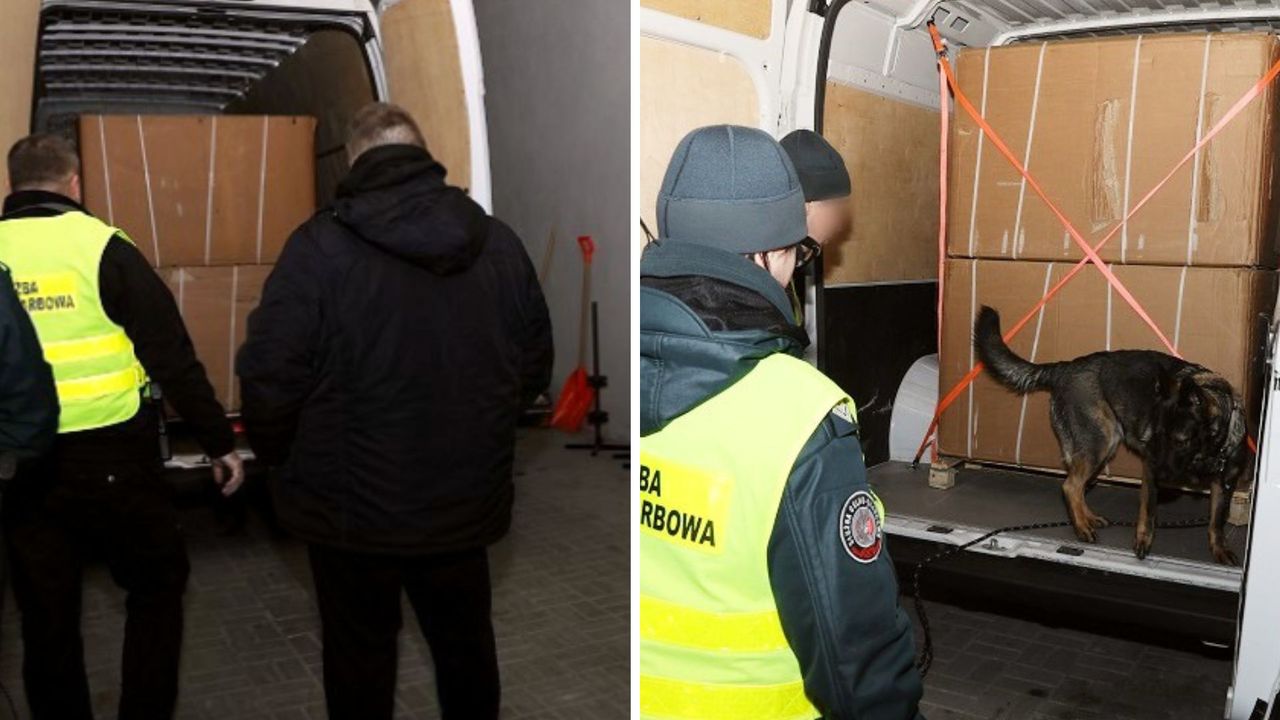 Zatrzymali busa do kontroli. Odkrycie służb na dużą skalę