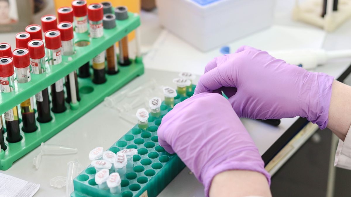 Ujawniono ponad milion profili DNA, fot. Pixabay