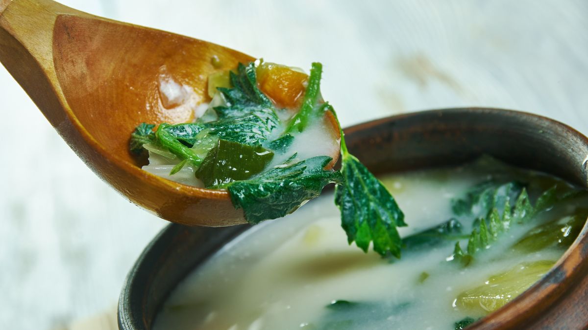 Przednówkowa zupa kartoflanka z pokrzywą