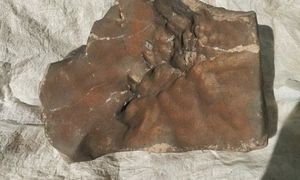 Awantura o największy meteoryt z Marsa na Ziemi. Afrykański kraj wszczyna śledztwo