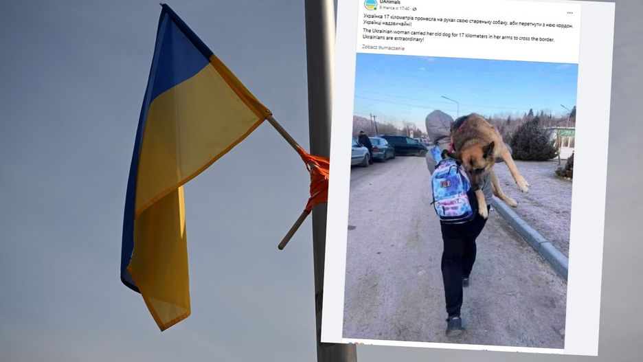 Uciekała przed wojną. Niosła psa na rękach 