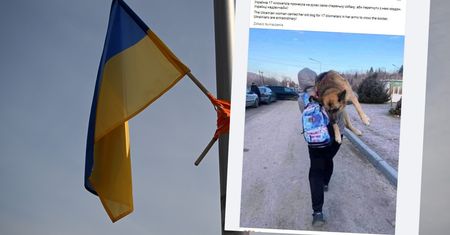 Z psem uciekała przed wojną. Niosła pupila przez 17 km