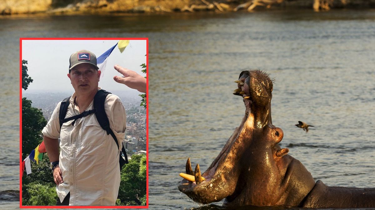 W wyniku starcia z hipopotamem mężczyzna stracił rękę