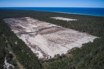 Kolejne wielkie wycinki drzew na Pomorzu. Dla atomu i autostrad energetycznych