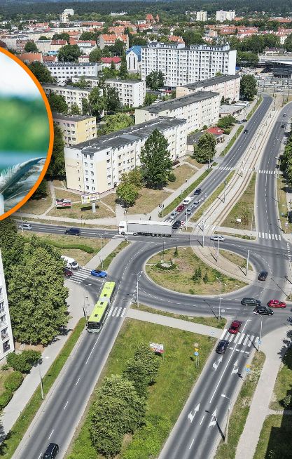 Mimo zakazu kogut budził osiedle. Po kilku dniach przyjechały służby