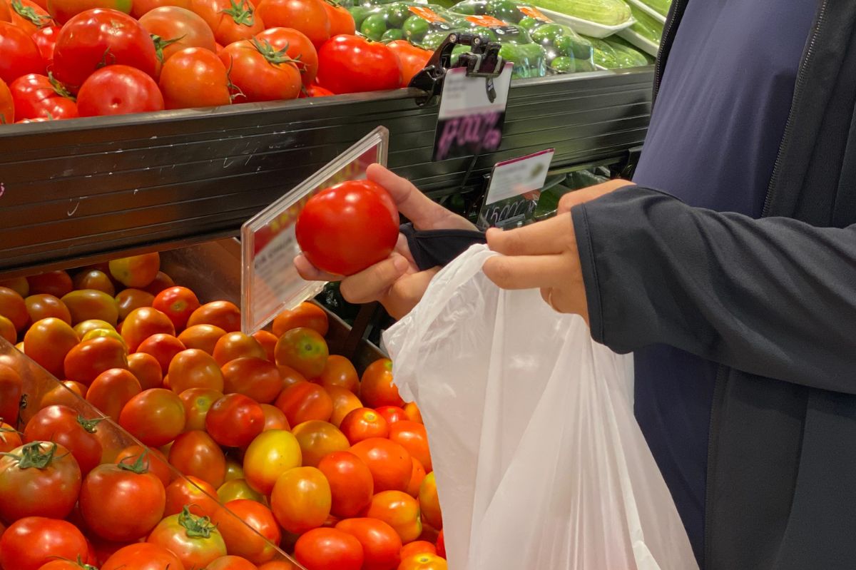 Why do tomatoes with stems stay fresh and flavourful for longer