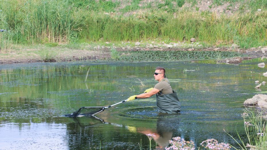 Słubice, 12.08.2022. Żołnierz usuwa martwe ryby z Odry w okolicy Słubic, 12 bm. Do działań na lubuskim odcinku rzeki zostało skierowanych przez MON 150 żołnierzy WOT. Pływają oni wspólnie ze strażakami na łodziach czy pontonach i wybierają z rzeki truchło śniętych ryb. (sko) PAP/Lech Muszyński