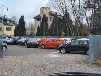 Tak uważają Polacy. Elektryki będą dominować