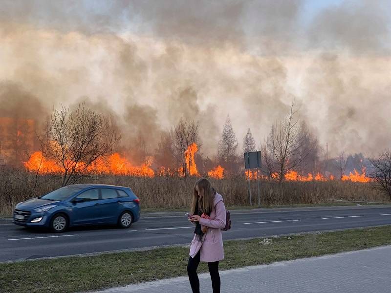 Pożary traw w Lublinie. Od początku roku doszło do niemal 230 interwencji