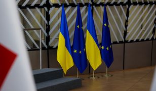 Європарламентарі: «Україна повинна перемогти»