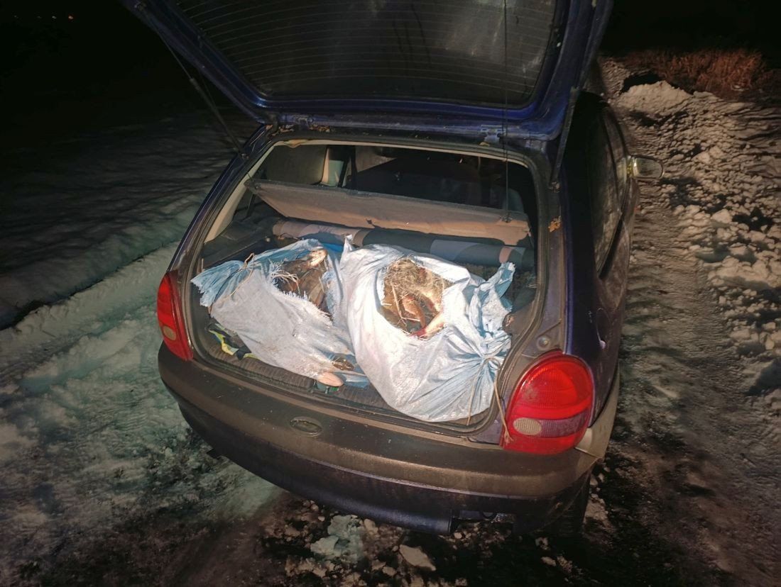 Racice: Wyłowili z Gopła prawie 100 kg ryb! Sprawcy sami stawili się w komisariacie, zostali zatrzymani za nielegalny połów