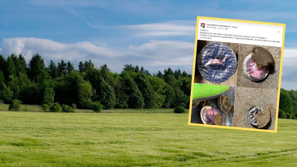 W Małopolsce pojawią się kostki na wściekliznę dla lisów