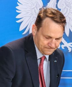 Sikorski zdyscyplinowany. Na "poważnej rozmowie" się nie skończyło