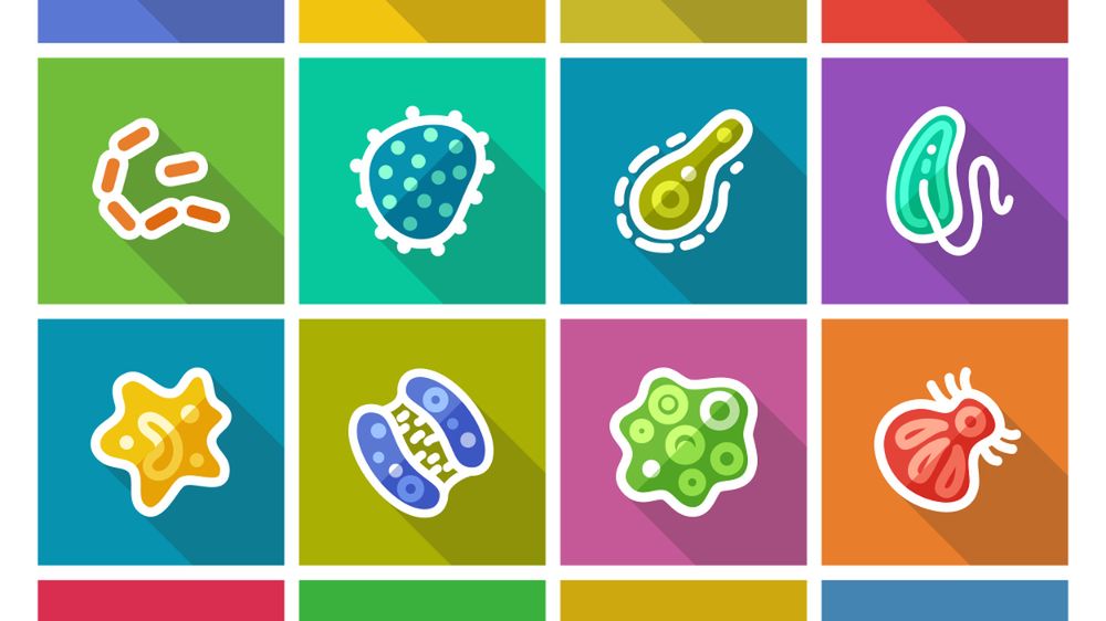 Do zakażenia Escherichia coli dochodzi najczęściej przez niezastosowanie zasad higieny