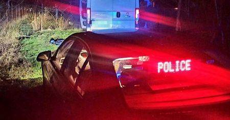 Znalazł worek przy drodze. Gdy sprawdził, co jest w środku aż zamarł
