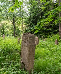 Plac zabaw na grobach w Białymstoku. Zapowiadają zgłoszenie