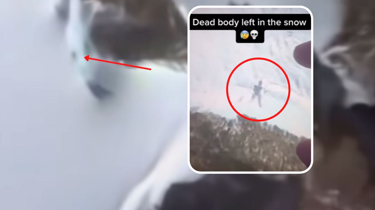 google maps mapy google