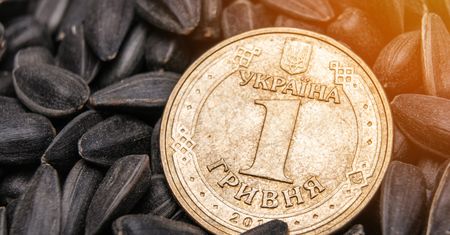 Kurs hrywny - 20.04.2022. Środowy kurs ukraińskiej waluty