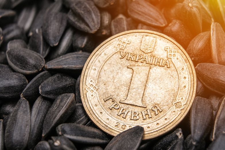 Kurs hrywny - 20.04.2022. Środowy kurs ukraińskiej waluty